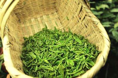 信阳毛尖品牌前十排行,你最爱哪一款?