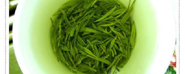 毛尖属于绿茶类吗