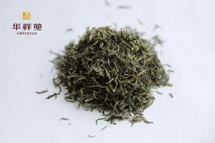 信阳毛尖属于什么茶