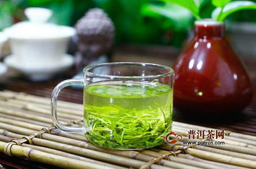 信阳毛尖算不算名茶 是十大名茶之一