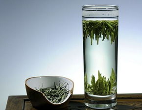 信阳毛尖明前茶的来历