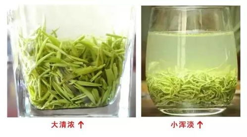 信阳毛尖 茶汤浑浊的原因