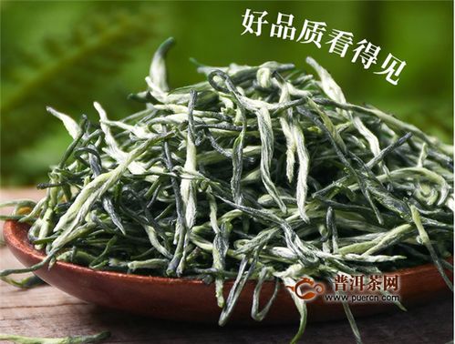 信阳毛尖茶什么时候采摘呢