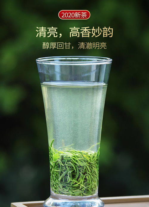 振源茶叶 信阳特产信阳毛尖100g 叶芽各半