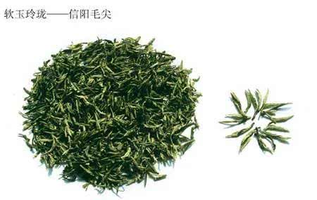 舌尖上的中国茶叶 信阳毛尖茶炒制工艺