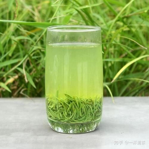 绿茶之王信阳毛尖,河南人最喜欢喝的茶,选择好茶六条方法