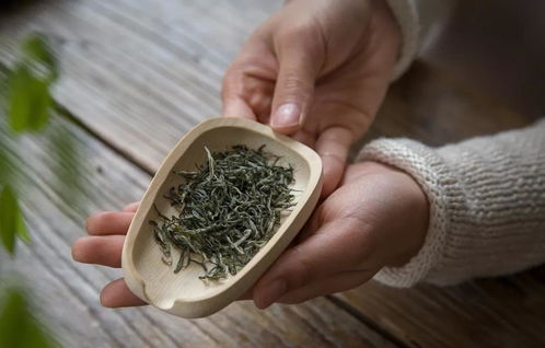 冲泡信阳毛尖水温 茶叶用量 茶器讲解