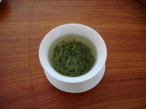 2012新茶 信阳毛尖 绿茶袋泡 高山生态有机春茶 礼品盒 明前独芽