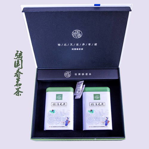 信阳特产光山弦国春牌信阳毛尖250g绿茶