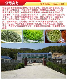 广东毛尖 毛尖 贤峰茶叶广东毛尖 查看