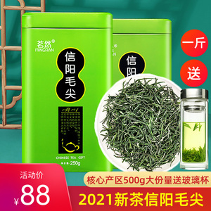 信阳毛尖新茶