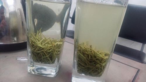 再优质的信阳毛尖,你的泡茶方法错了,茶汤会浑浊