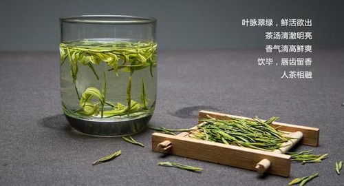 哪里的茶更加合你的胃口 会是北京同世堂药业这款吗