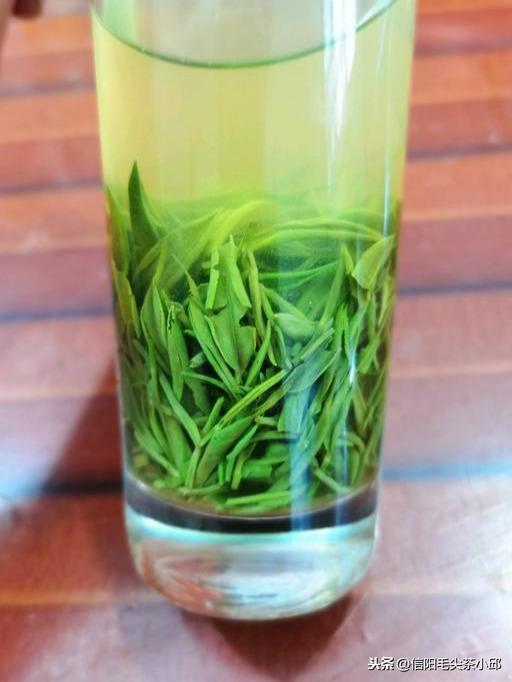 信阳毛尖茶叶冲泡水温讲解