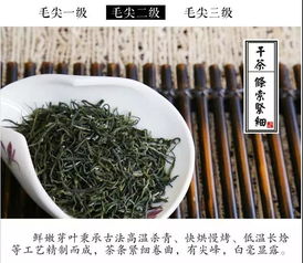 听过信阳毛尖 都匀毛尖,那么何为紫阳毛尖呢
