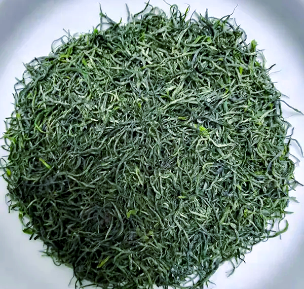 信阳毛尖:中国绿茶之冠的传奇