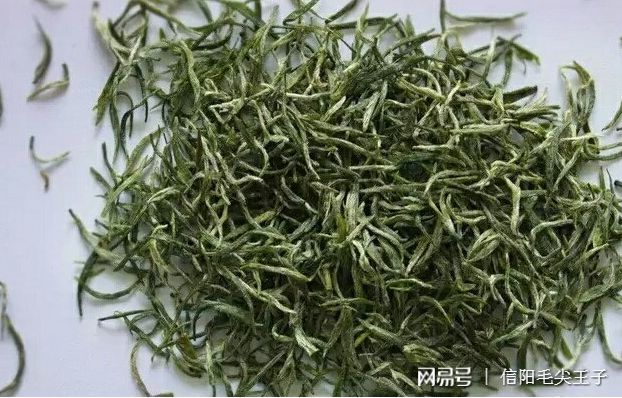 信阳毛尖茶叶会过期吗?怎么保存