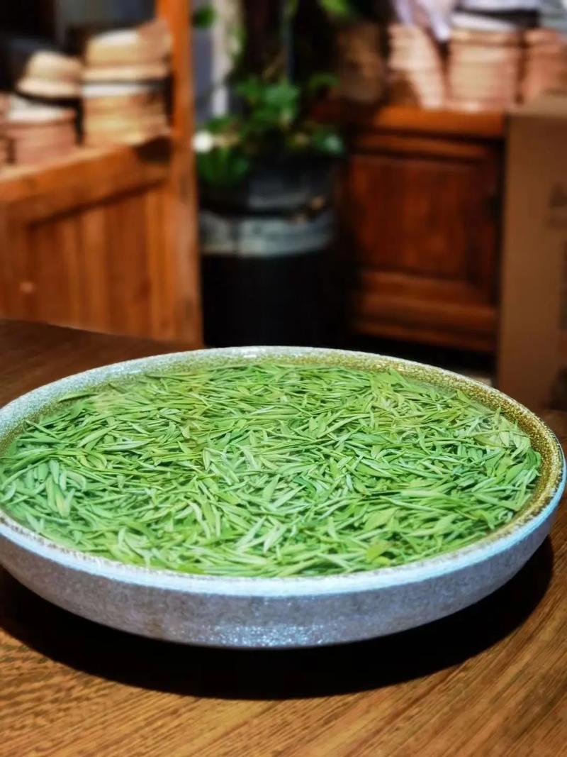 信阳毛尖明前茶 #爱喝茶的关注我 ,以茶会友