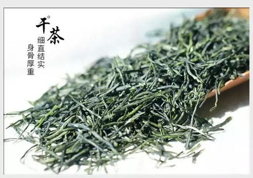 信阳,旧梦归来时,唯见绿茶香