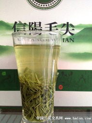 2012 信阳毛尖 特惠装 首拍...超值