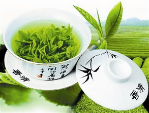 信阳毛尖茶 标准诞生记