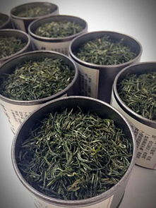 信阳毛尖品鉴 十步法