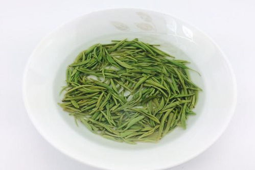 信阳毛尖为何被称之为 绿茶之王
