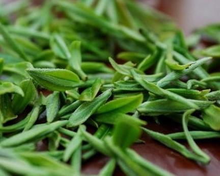 什么是雨前信阳毛尖茶