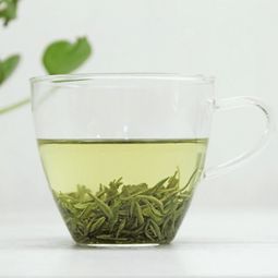 信阳毛尖什么样的好？教你如何分辨优质信阳毛尖