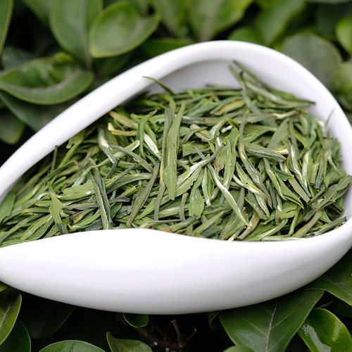 信阳毛尖 健康养生的佳选与品牌推荐