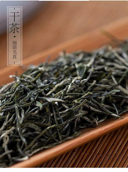 信阳毛尖明前茶 都市频道现场选茶,产地直发,品质保证