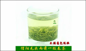 2014新茶信阳毛尖雨前一芽一叶高山绿茶 茶农直销，品质与实惠兼得