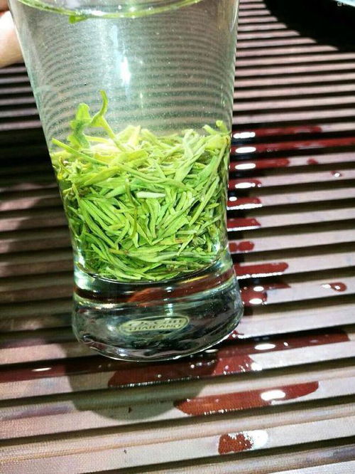 真正的信阳毛尖是什么样子